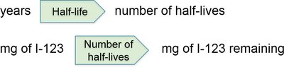 Half-life calculation plan for I-123