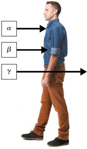 Penetration depth of alpha, beta, gamma radiation