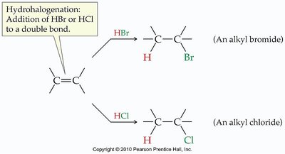 Hydrohalogenation: addition of HBr or HCl to a double bond