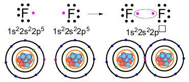 Electron dot diagram and shell model for two fluorine atoms forming a covalent bond