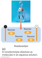 Nonelectrolyte in solution