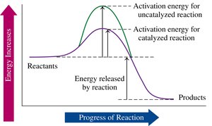 Energy diagram showing effect of a catalyst