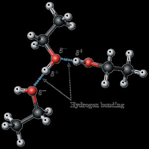 Hydrogen bonding between alcohol molecules