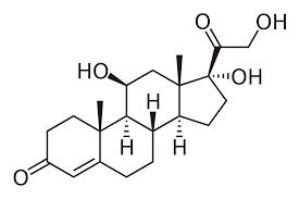 Labeled functional groups in cortisol: ketones, alcohols, alkenes