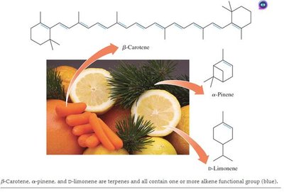 Structures of terpenes: beta-carotene, alpha-pinene, D-limonene