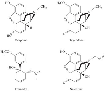 Table showing the structure of IUPAC names: substituents, parent name, suffix