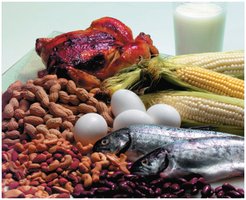 Sources of dietary proteins
