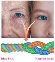 Triple helix structure