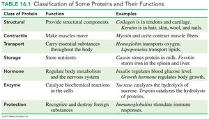 Classification of Some Proteins and Their Functions