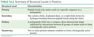 Summary of structural levels in proteins