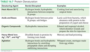 Protein denaturation