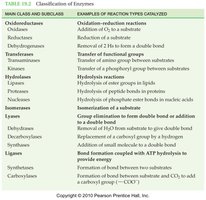 Classification of enzymes