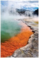 Thermophiles in hot springs