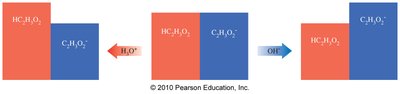 Buffer action: both acid and base addition