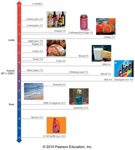 pH values of everyday substances