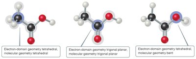 Electron-domain and molecular geometry in larger molecules