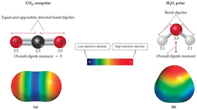 Comparison of polarity in CO2 (nonpolar) and H2O (polar)