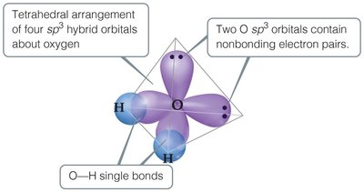 sp3 hybridization in H2O