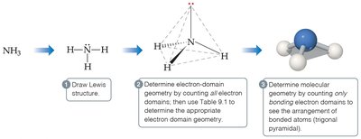 Steps to determine molecular geometry using NH3 as an example