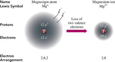 Magnesium atom to magnesium ion