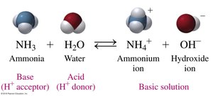 NH3 and water reaction forming ammonium and hydroxide ions