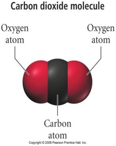 Carbon dioxide molecule