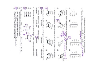Carbohydrate structure and glycosidic bonds