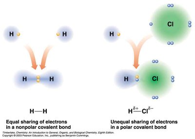 Bond polarity: nonpolar vs polar