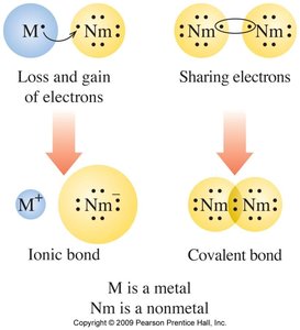 Ionic and covalent bond formation