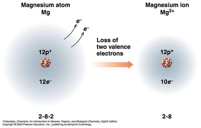 Magnesium atom to magnesium ion