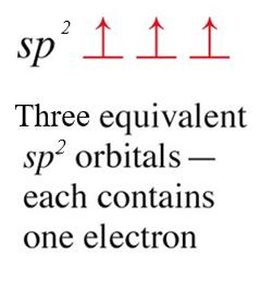 sp2 hybrid orbitals