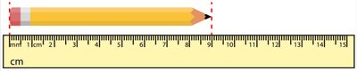 Pencil measured with ruler