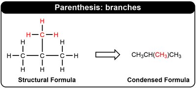 Parenthesis: branches