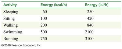 Table of energy expenditure by activity