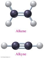 Alkene and alkyne models