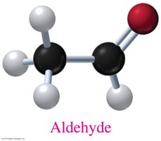 Alcohol and thiol models