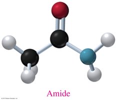 Amide model