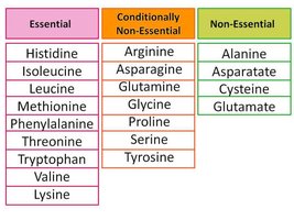 Table of essential and non-essential amino acids