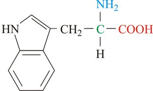 Structures of various amino acids