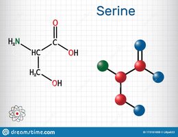 Structure of serine, a polar neutral amino acid