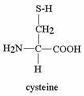 Structure of cysteine, a sulfur-containing amino acid