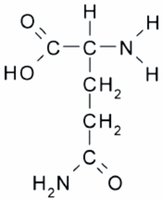 Structure of glutamine, an amidic amino acid