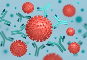 Antibodies interacting with pathogens