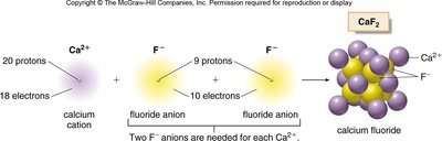 Formation of CaF2 from calcium and fluoride ions