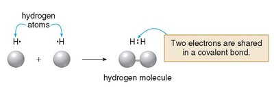 Formation of a covalent bond in a hydrogen molecule