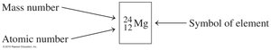 Atomic symbol for magnesium isotope