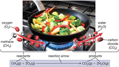 Chemical equation showing reactants, products, and physical states