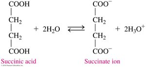 Equilibrium between succinic acid and succinate ion