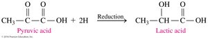 Reduction of pyruvic acid to lactic acid