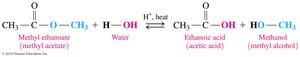 Acid hydrolysis of methyl ethanoate